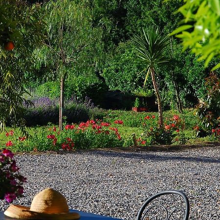 Agriturismo Coppi Rossi Torrazza  Exteriör bild