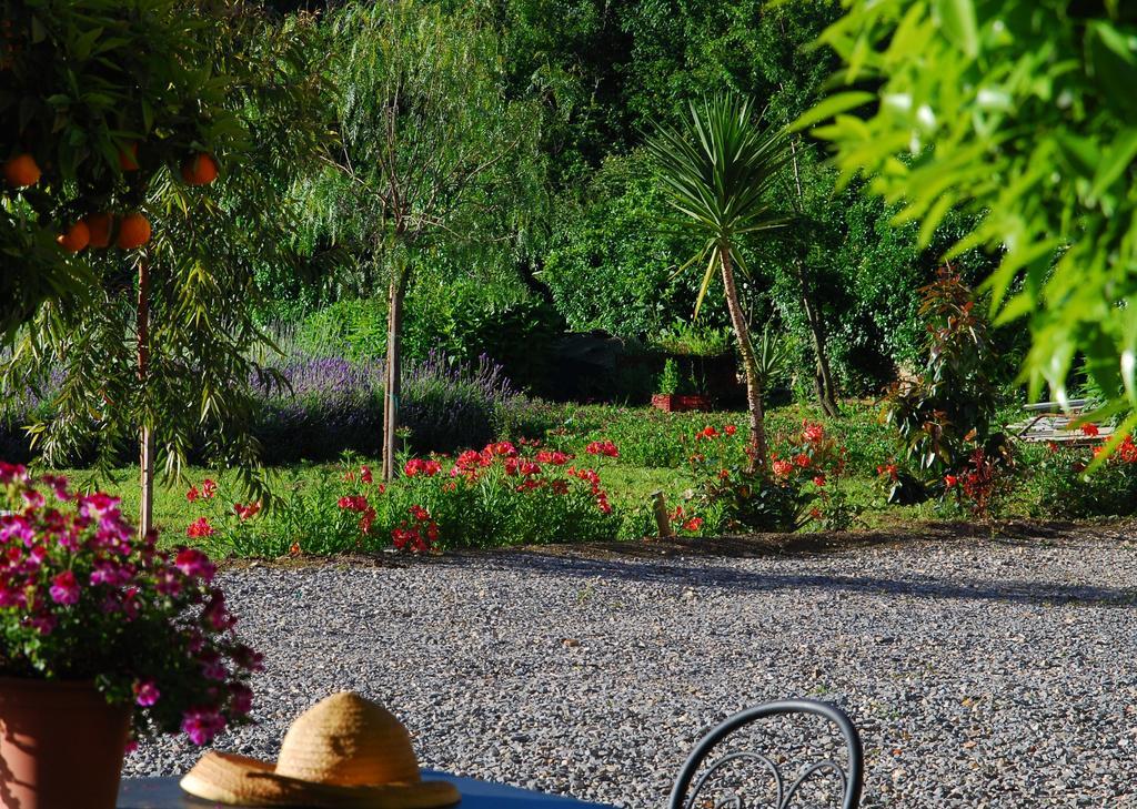 Agriturismo Coppi Rossi Torrazza  Exteriör bild