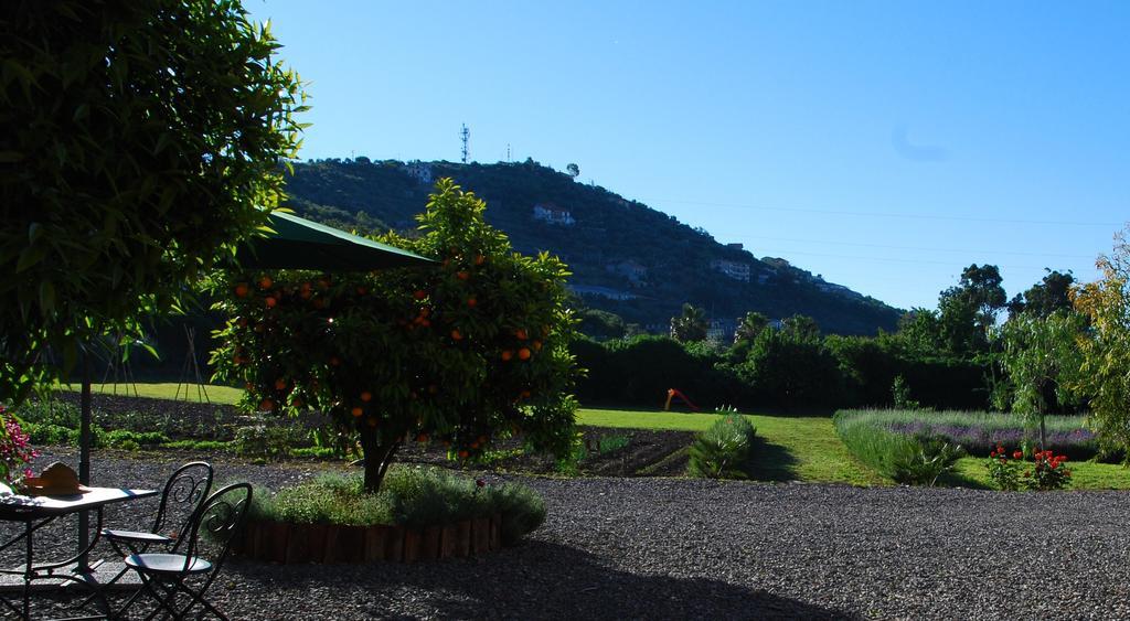 Agriturismo Coppi Rossi Torrazza  Exteriör bild